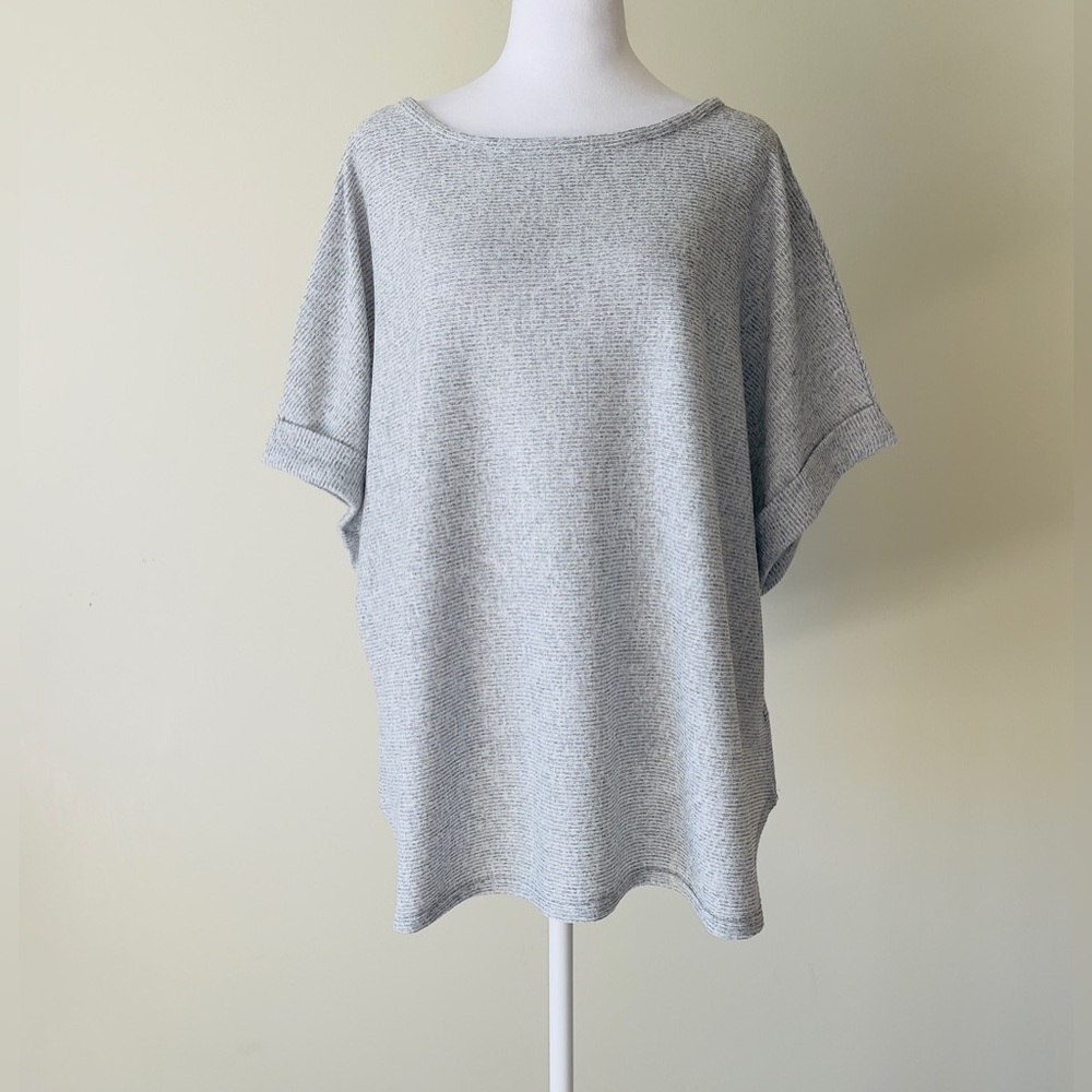 Max Studio Oat & Black Short Sleeve Boat Neck Soft Ribbed Knit Top NWOT Size 2X - Picture 4 of 8